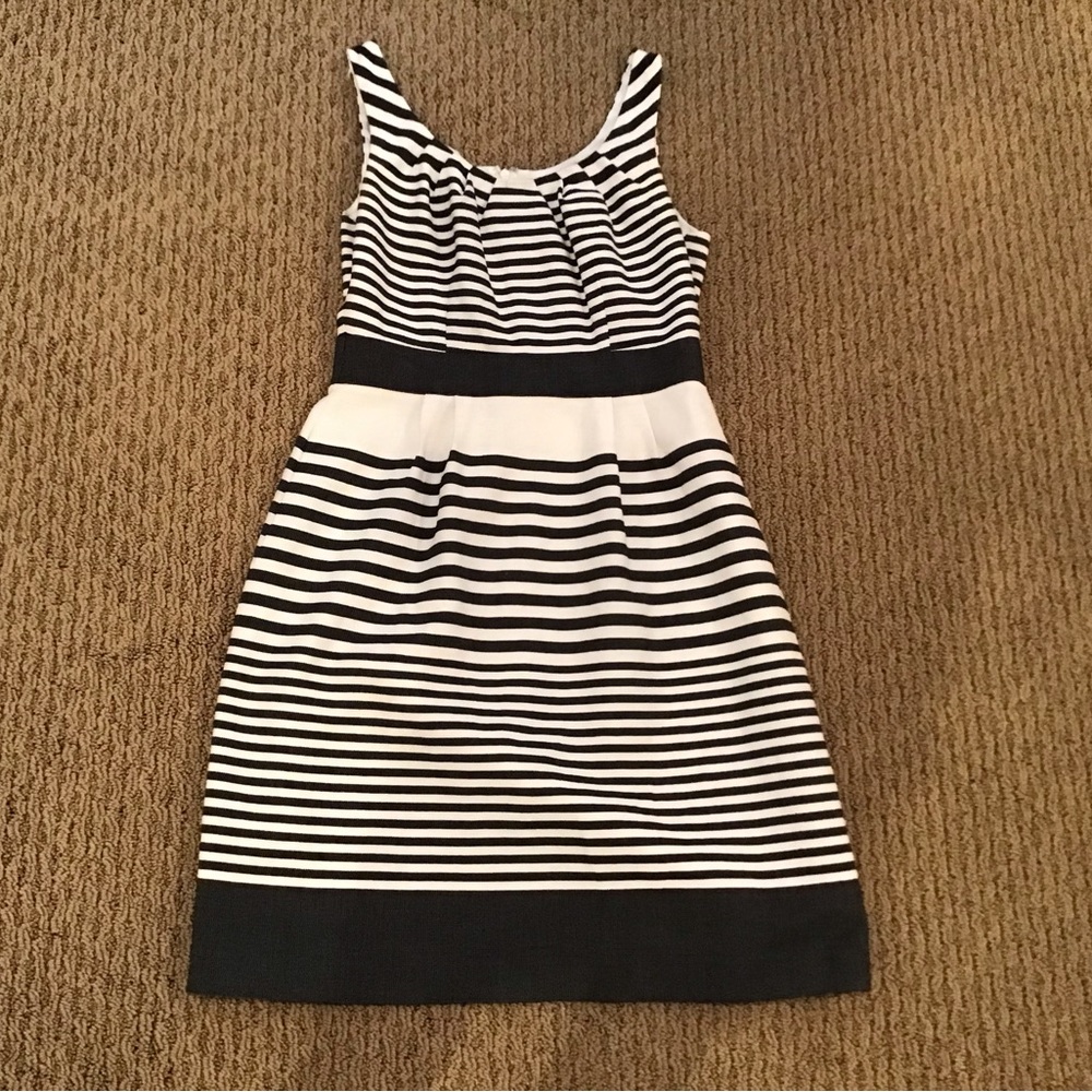 Banana Republic Striped Dress